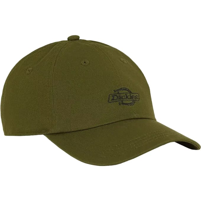 Dickies Essential Dad Pet Groen