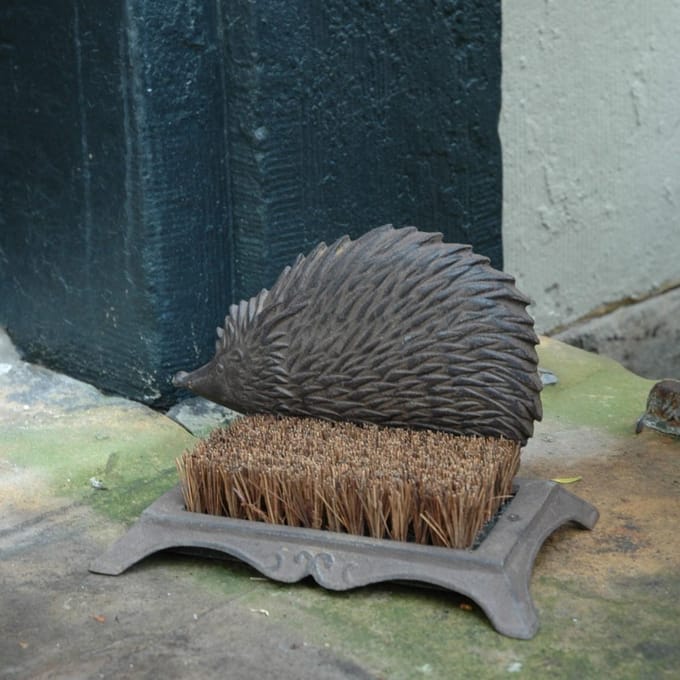 Brosse à Chaussures Hérisson