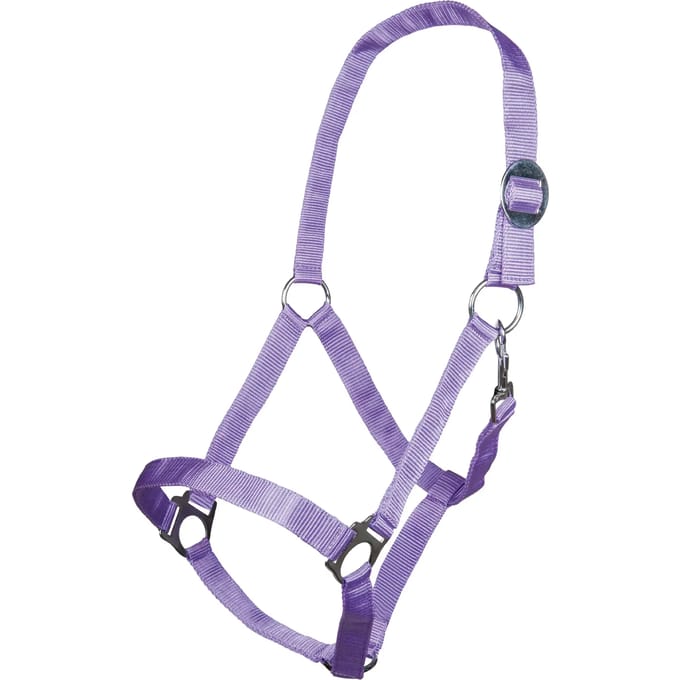 Halster voor paarden HKM Stars Economy