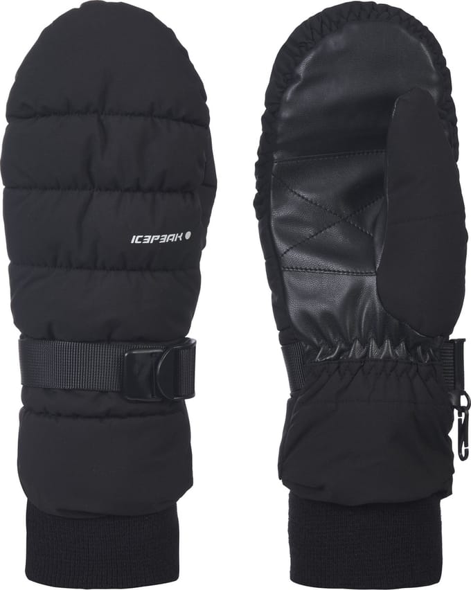 ICEPEAK HOYLETON Unisex Wintersporthandschoenen - Zwart - Maat M