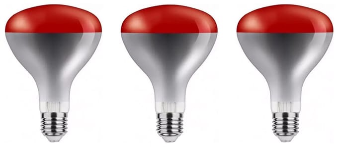 Asalite Infrarood Warmtelamp R125 E27 - 100W - 125mm - Rood Glas - 3 stuks