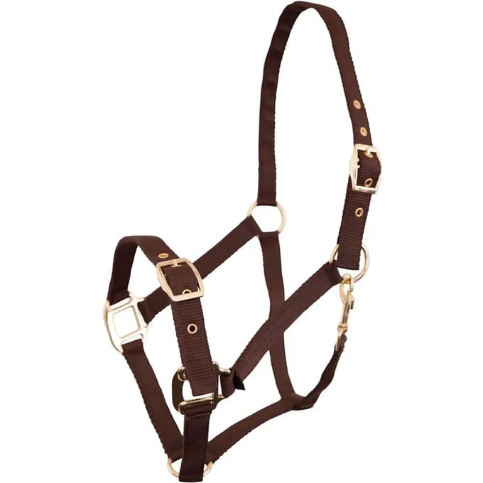 Polypropyleen halster Premiere Equitation