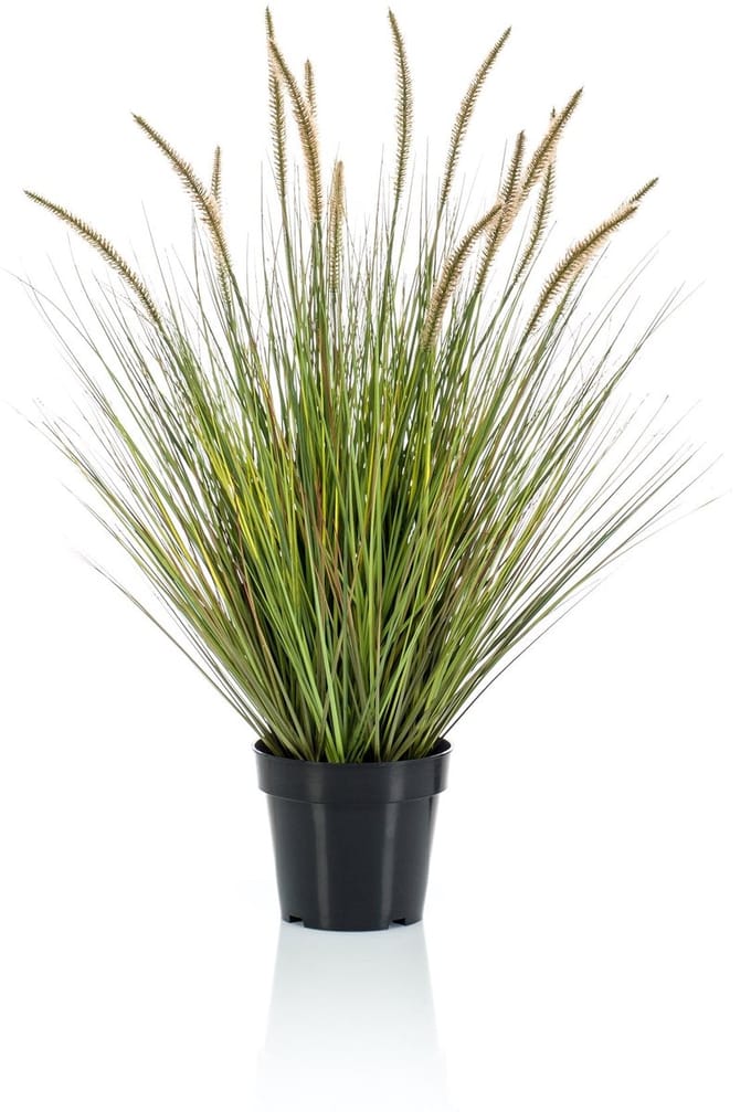 Emerald - Kunstplant Pennisetum Gras 85cm - Kunstplant voor binnen