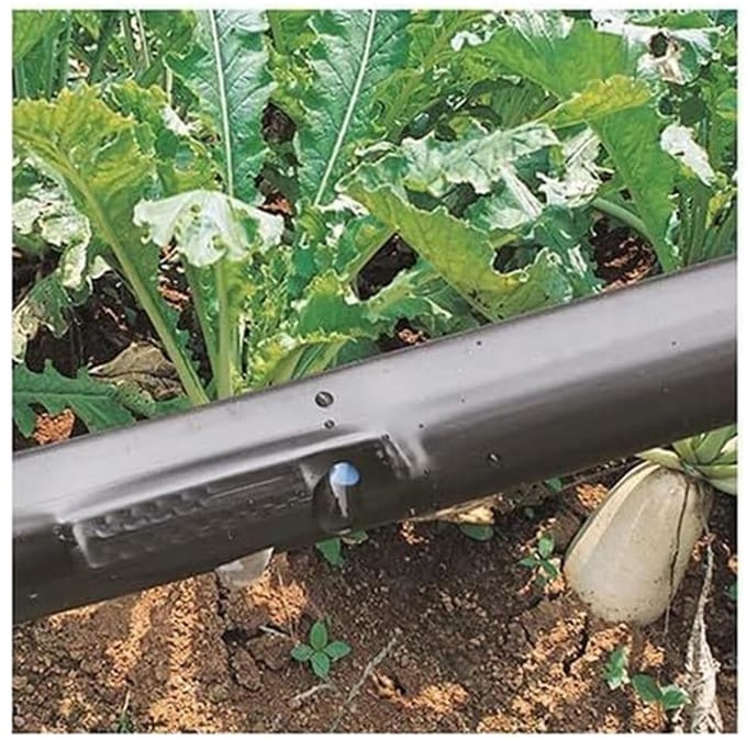 Druppelslang - PE platte slang - Tuin bewateren - Niet knikkend - 30 meter - Zwart