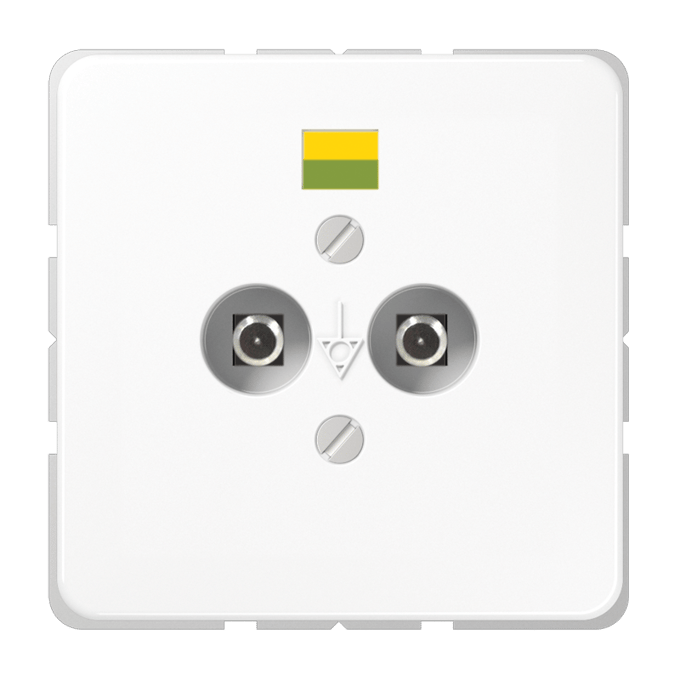 Jung CD500 Potentiaalvereffeningsstopcontact - CD565-2NWW