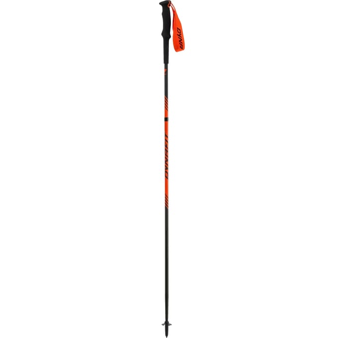 Spoorpalen Dynafit Alpine