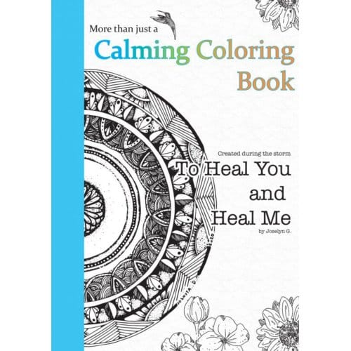 To Heal You And Heal Me - Joselyn Gamboa