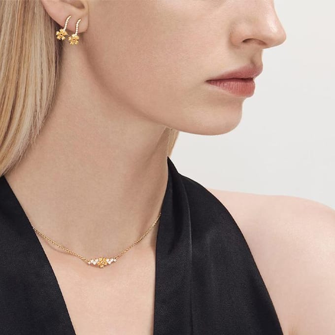 Swarovski Botanische Kettingen Dames Goud 5535781 Gold white
