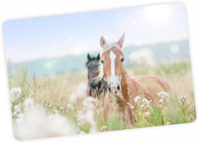 Grote Vinyl Bureauonderlegger Paarden - Afwasbare Knutselmat voor Kinderen