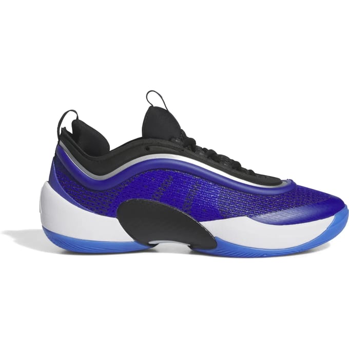 Basketbalschoenen adidas D.O.N. Issue 5