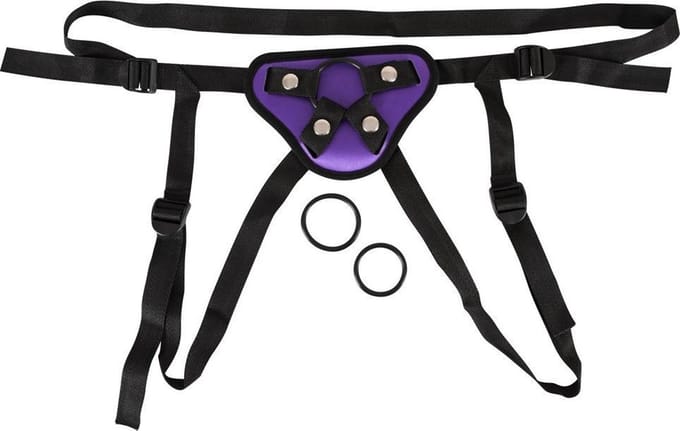 Universal Harness + 3 Rings