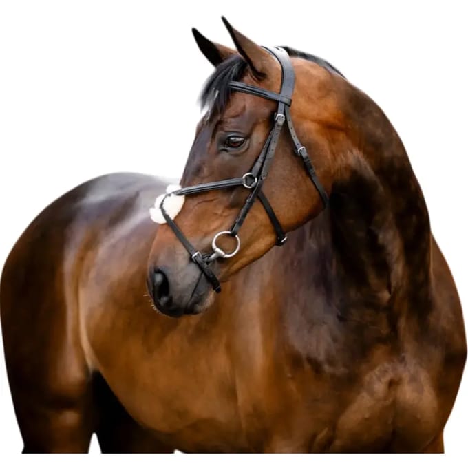 Bridon ruiter kruis neusriem in leer Horseware