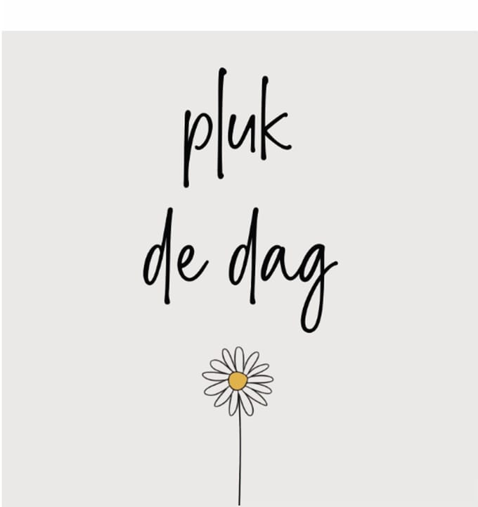 PLUK DE DAG | tegeltje van forex | 13 x 13 cm | met haakje