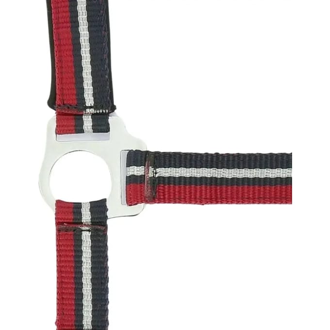 Halter Norton Brillant