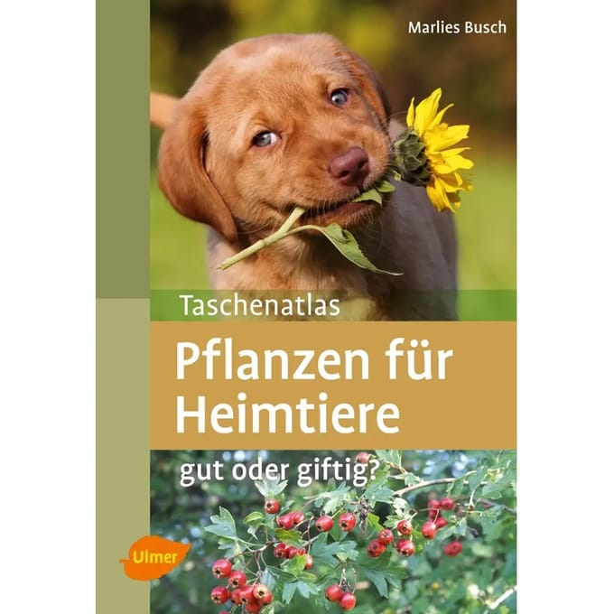Boek Nobby Pet Pflanzen Für Heimtiere