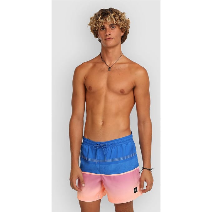 O´neill Gradient 15´´ Zwembroek Blauw S Man