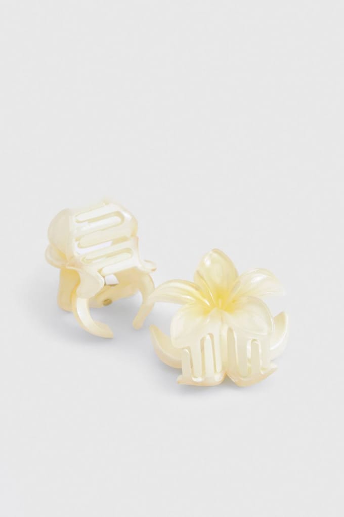 boohoo Dames Kleine Bloemen Haarclips 2-delige set | Geel