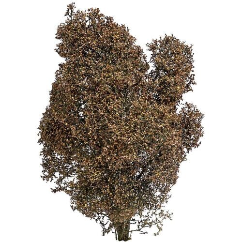 Busch 3590 Struik 150 mm Herfst