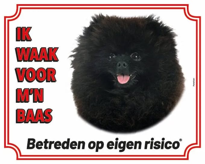 Pomeriaan Zwart Waakbord