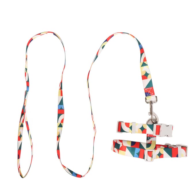 Harnais et Laisse pour Chat Ensemble Anti-Évasion Réglable Léger Harnais pour Chat Corde de Traction pour Grands Petits Chatons S size white