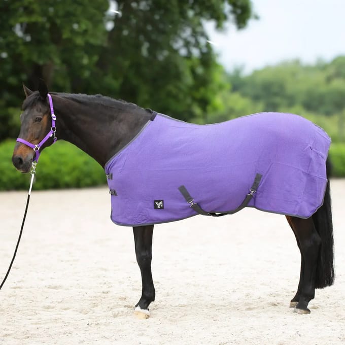Paardendeken York Santi