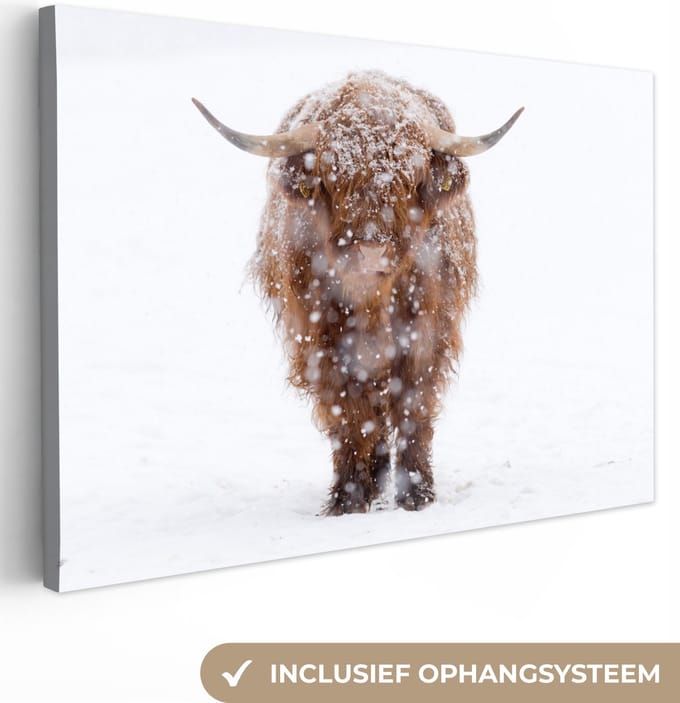 Canvas Schilderij Schotse hooglander - Koe - Sneeuw - 90x60 cm - Wanddecoratie