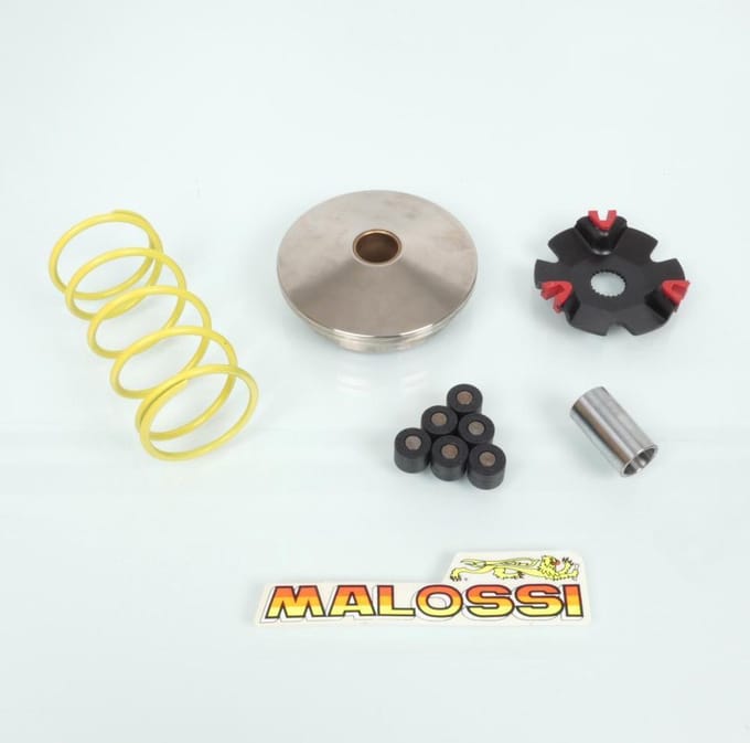 Variateur Malossi pour Scooter Italjet 50 Formula 51 7128 / Multivar Neuf