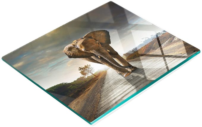 Serveerplank van gehard glas met olifantenafbeelding, 60x52 cm