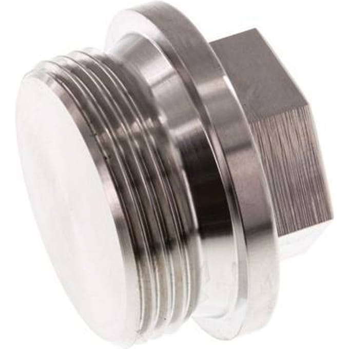 Plug G1 1/4" RVS met kraag en buitenzeskant 40 bar (562.0psi)