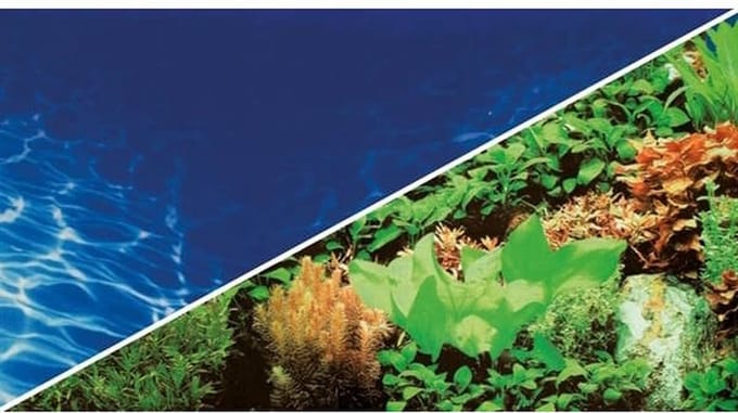 Hobby Foto Achterwand Plants 8/Marin Blue 60CM x 30CM