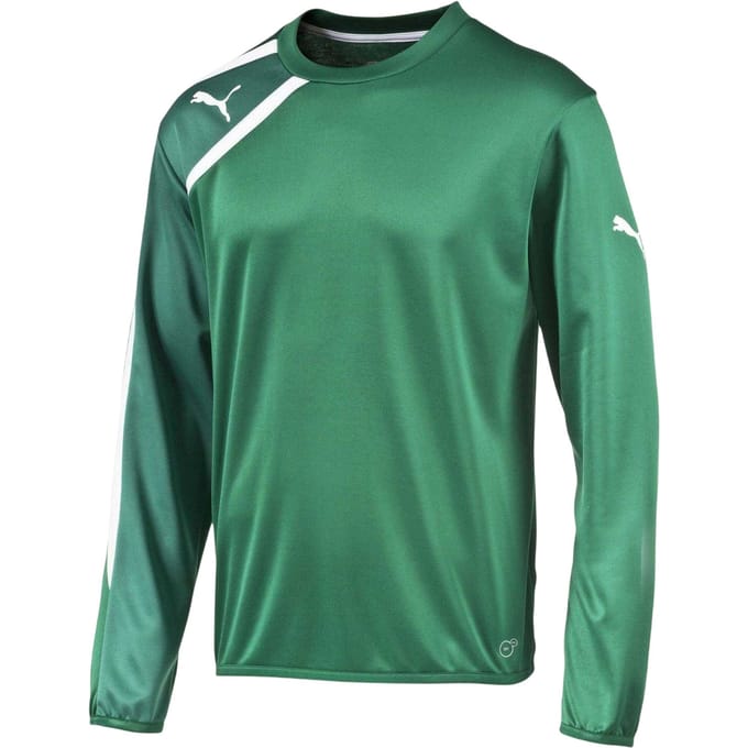 Puma Heren-sweatshirt 'Spirit Regular' (Groen)