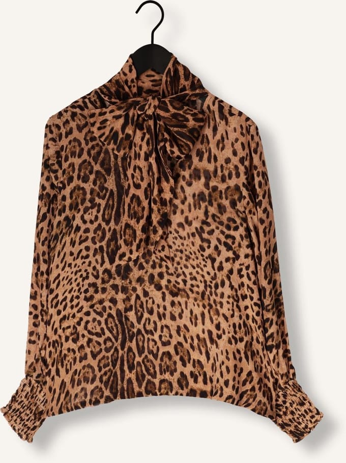 Ibana Trixy Blouse Blouses Dames - Bruin - Maat 34