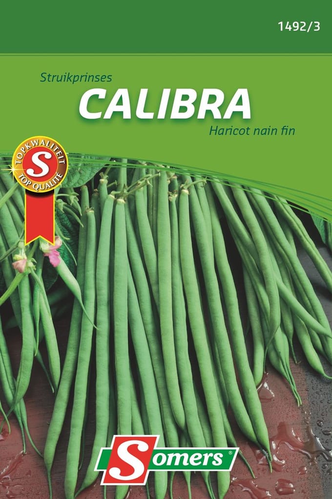 Somers zaden - Struikprinses Calibra
