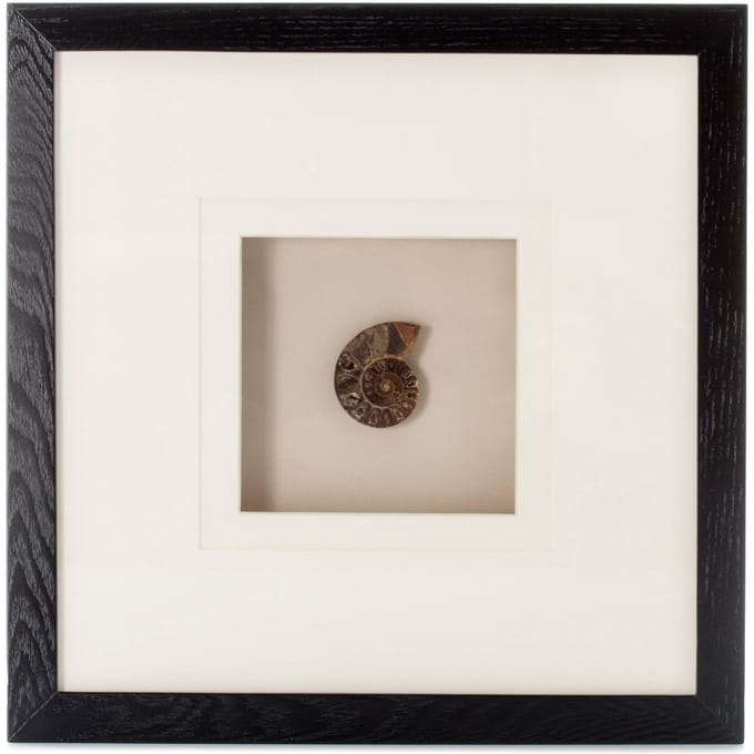 Wanddecoratie Gem Art Force V | Loft46