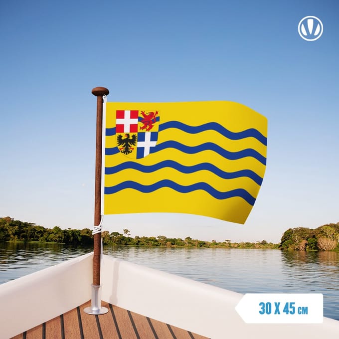 Vlag Salland 30x45cm