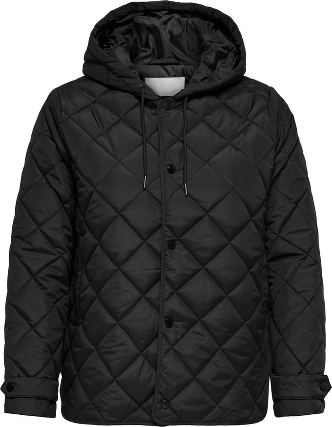 ONLY CARMAKOMA - CARJULIET QUILTED HOOD JACKET OTW Dames Jas