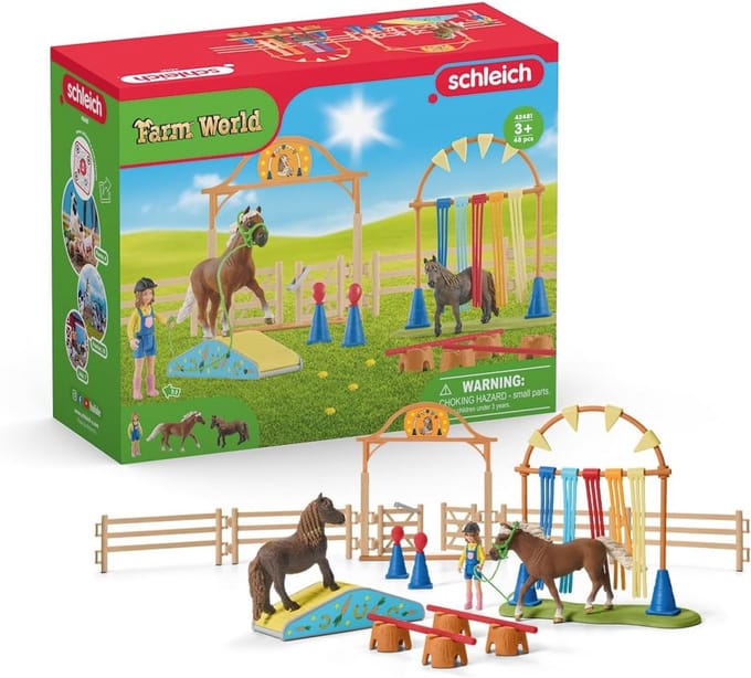 Pony Agility Training