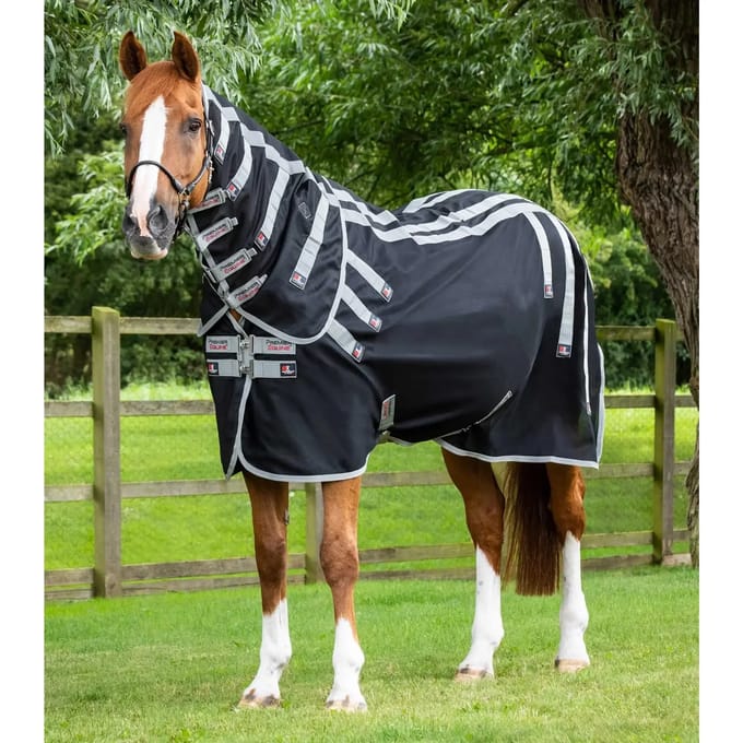 Magnetische paardendeken