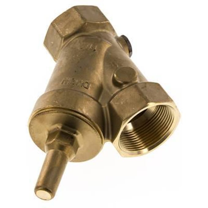 Rp 2'' Messing Y Terugslagklep 10 bar (145 psi) FKM