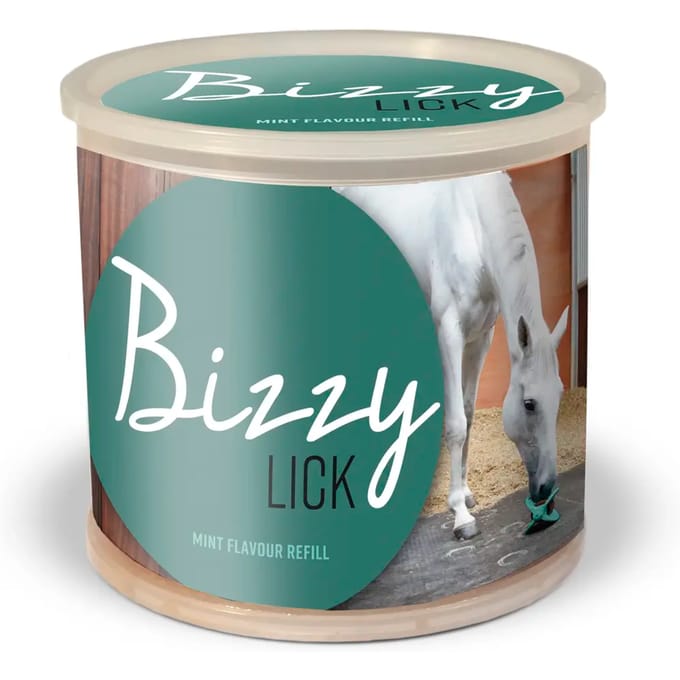 Pierre Bizzy Horse Bizzy Lick