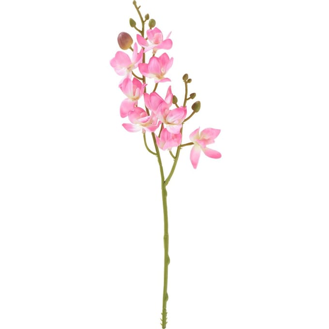 Kleine Orchidee Phalaenopsis Kunstbloem Roze 30cm