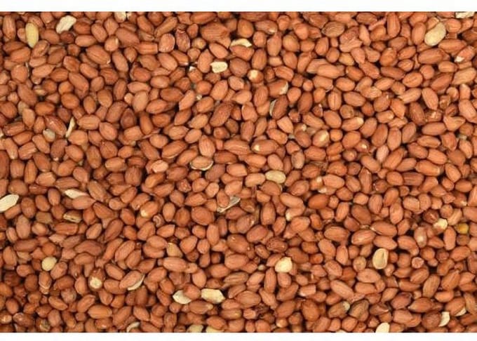 Wielink Pinda’s gepeld 1KG kleinverpakking