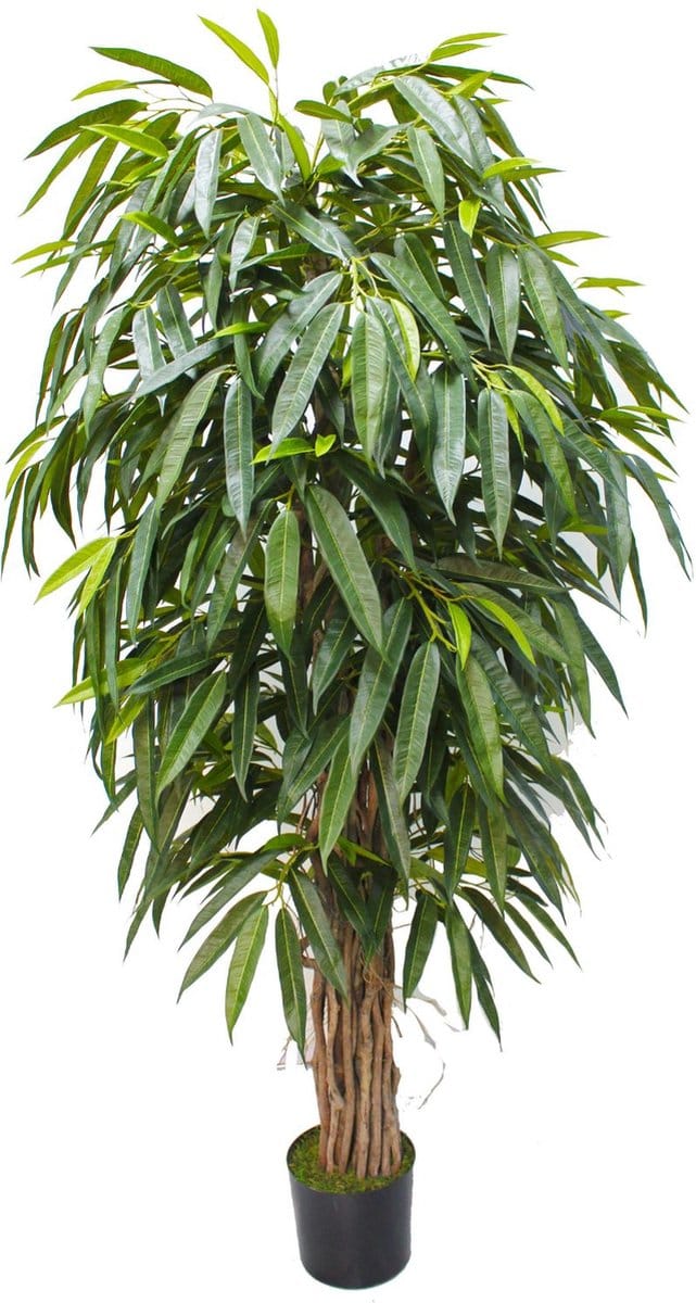 Longifolia Kunstplant 180cm