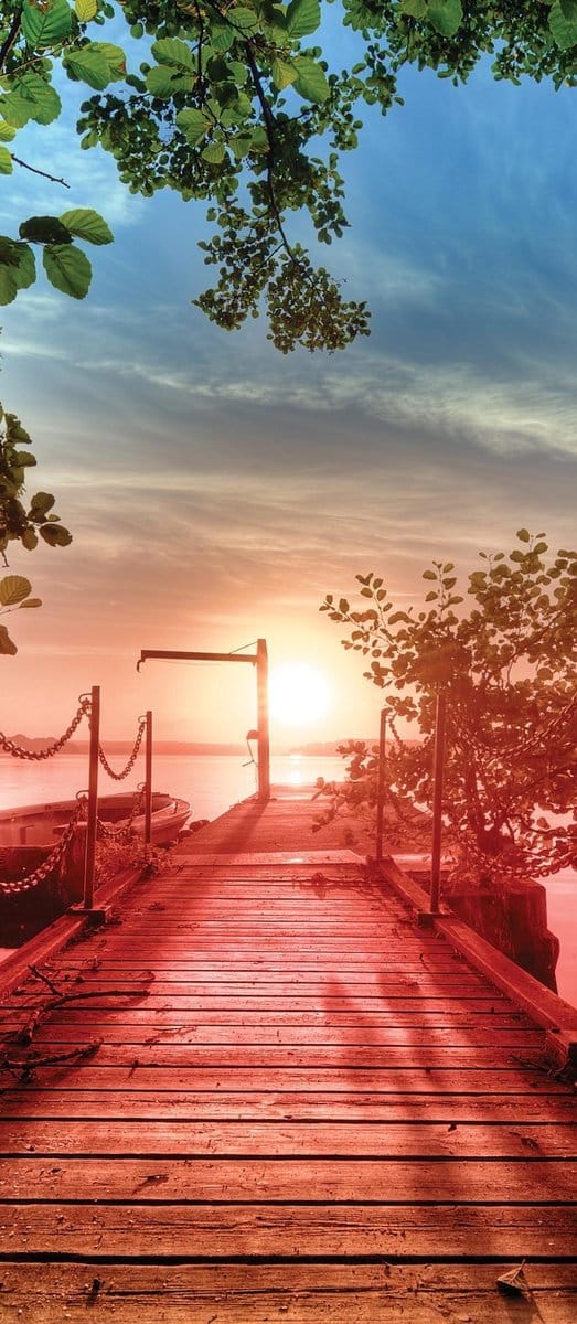 Path Pier Trees Boats Sunset  Photo Wallcovering
