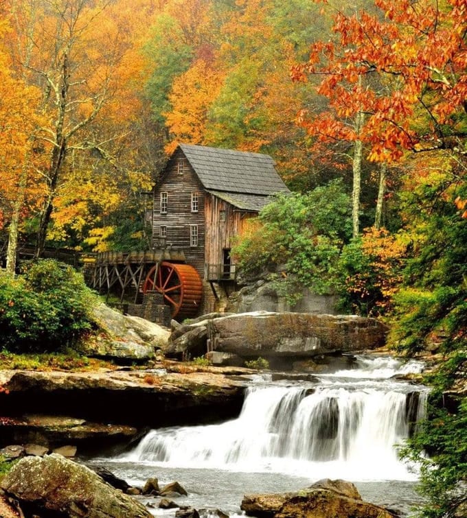 Fotobehang - Grist Mill 225x250cm - Vliesbehang