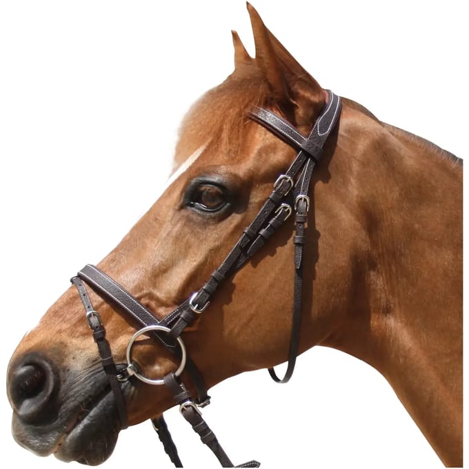 Hoofdstellen Privilège Equitation Grandville