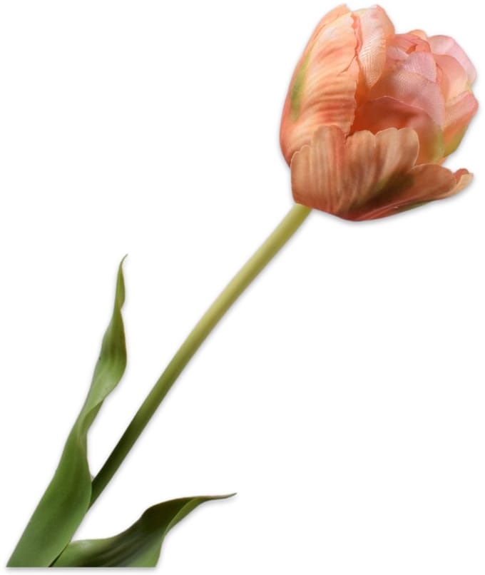 Silk-ka - Kunstbloem - oranje - H66 cm