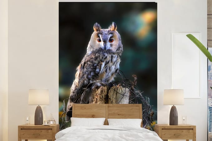 Behang - Fotobehang Uil - Herfst - Vogel - Takken - Breedte 180 cm x hoogte 280 cm