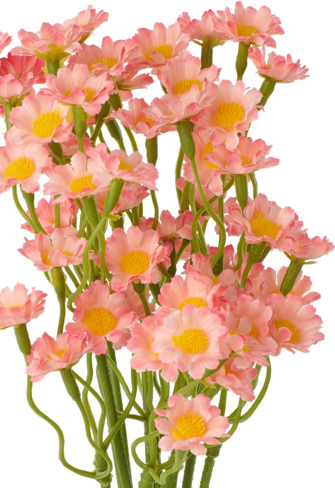 J-Line gypsophila - kunststof - wit/roze - set van 2