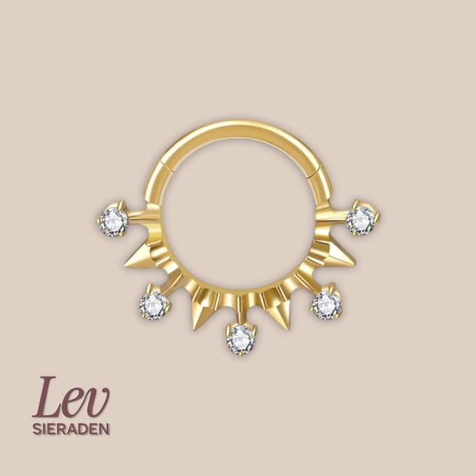 Lev Sieraden - Titanium premium neus ring - Stones and spikes - 5 zirkonia segment ring - 1.2x8mm - Goud - segment ring - neuspiercing - tragus piercing - Oorpiercing